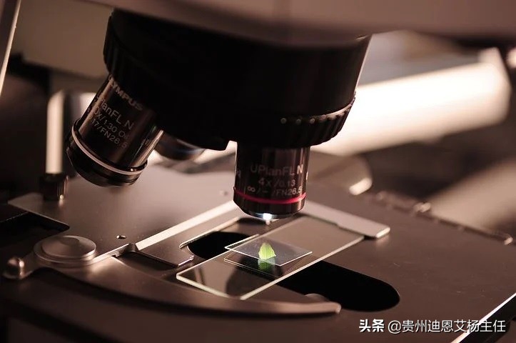 父子二人亲子鉴定多少钱一次？