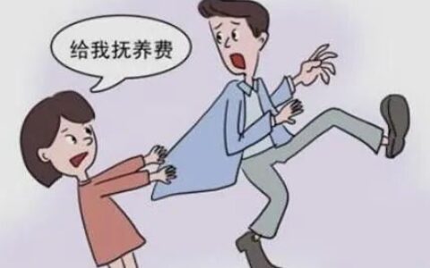 抚养费不给怎么样强制执行及前夫不给抚养费的狠招