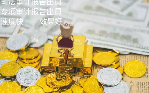 财务清算报告哪里出的及清算审计报告收费标准