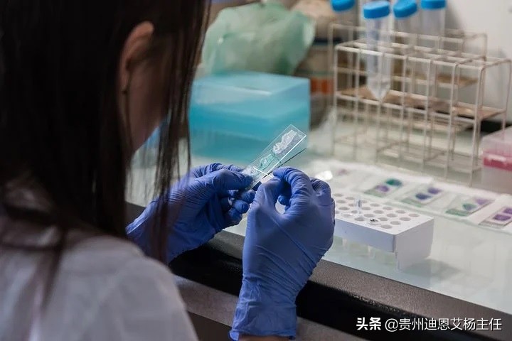 父子二人亲子鉴定多少钱一次？