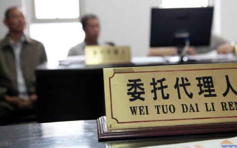 「诉讼执行」民事诉讼法委托诉讼代理人解析