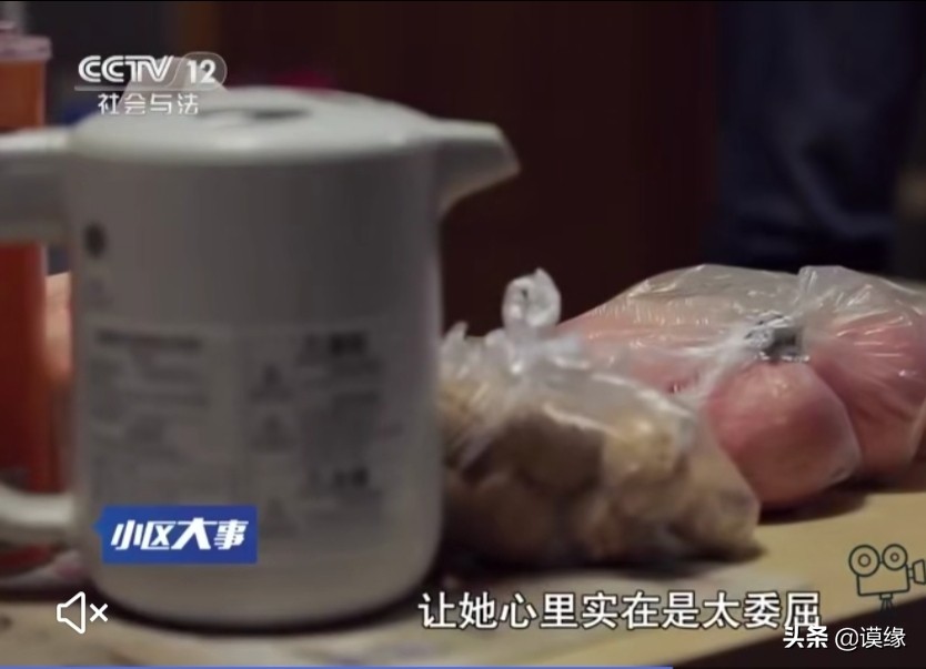 怀孕妻子坚决离婚，男子下跪求原谅毫不退让，她经历了怎样的委屈