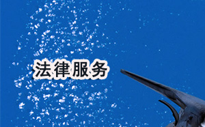 南宁市刑事业务律师多少钱 南宁市刑事业务律师多少钱