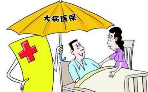 大额医疗费用补助是什么意思及职工大额医疗保险报销条件