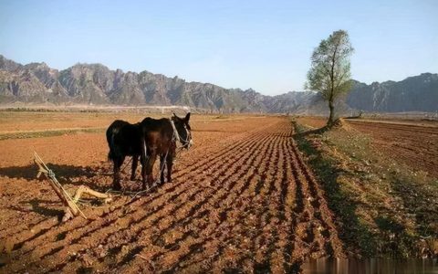 农村土地流转的合法流程及正规的土地流转合同协议书