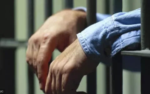 无期徒刑是什么意思及关于坐牢无期徒刑规定