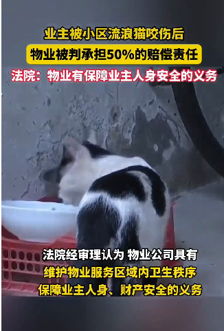流浪猫咬伤业主,物业被判担责50%