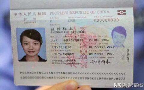 护照查询个人信息查询及个人护照查询系统