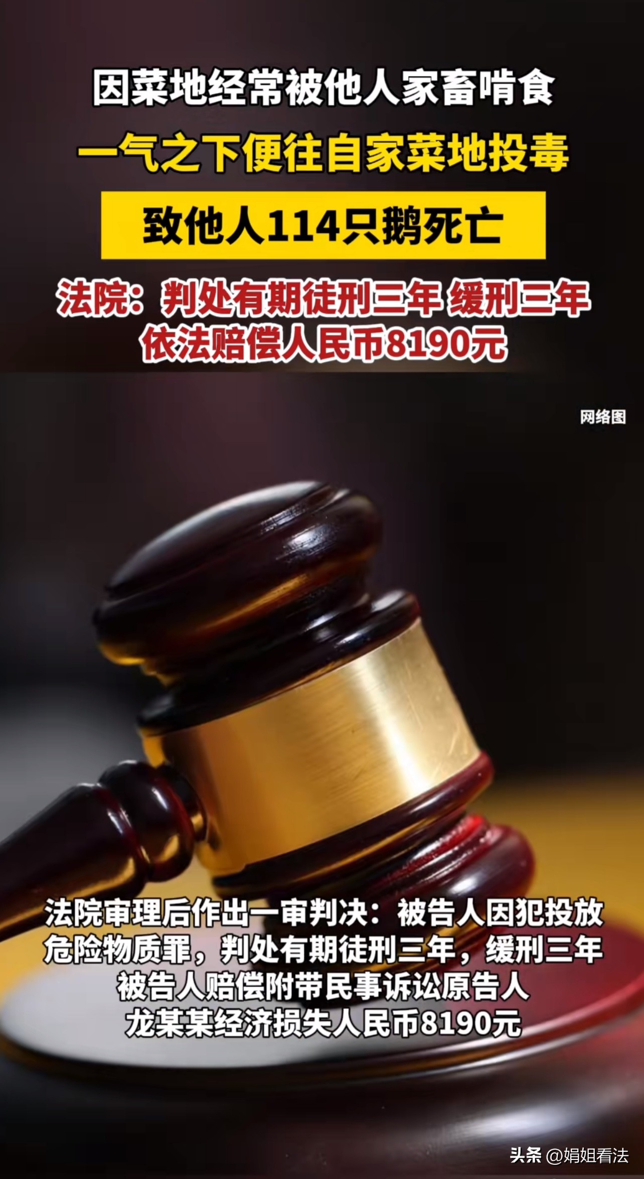 一男子发现自己辛辛苦苦种植出来的蔬菜长期被不知谁家饲养的家禽啃食,一气之下,将掺有农药的玉米粒抛洒在自家菜园处。可造成同村村民养殖的114只、548斤重的鹅死亡后,男子却因此被刑拘。
